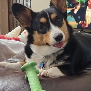 Meet your Posher, Daniel